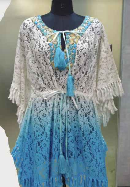 Blue & White Net Embroidered Dress